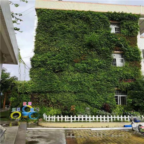 广东生态绿墙设计 景澜环保专业可靠 欢迎来咨询